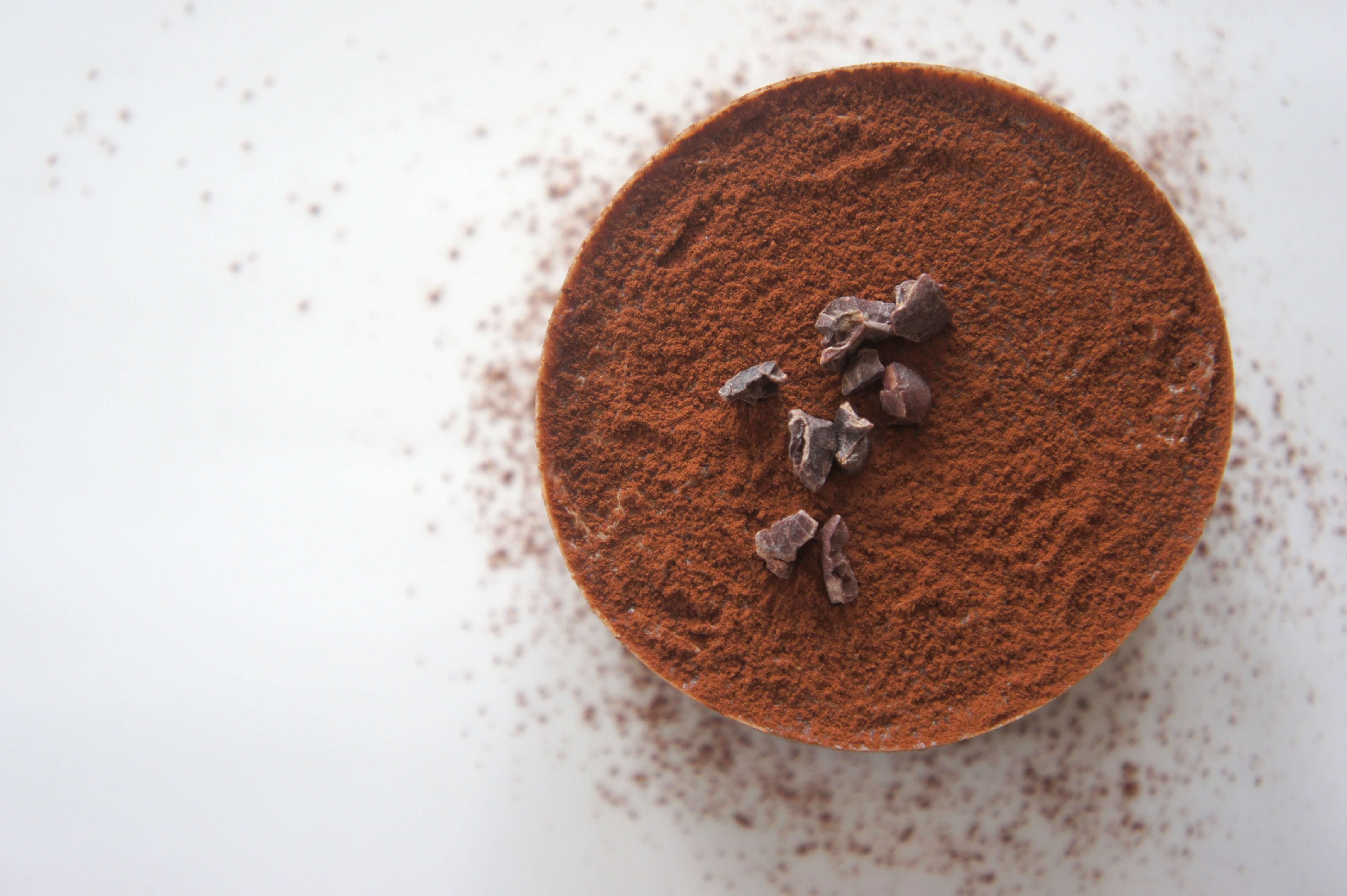 Cacao powder visual